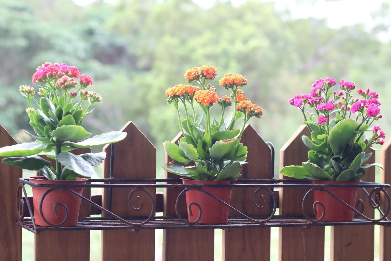 Shanhai B&B Cát An Ngoại thất bức ảnh